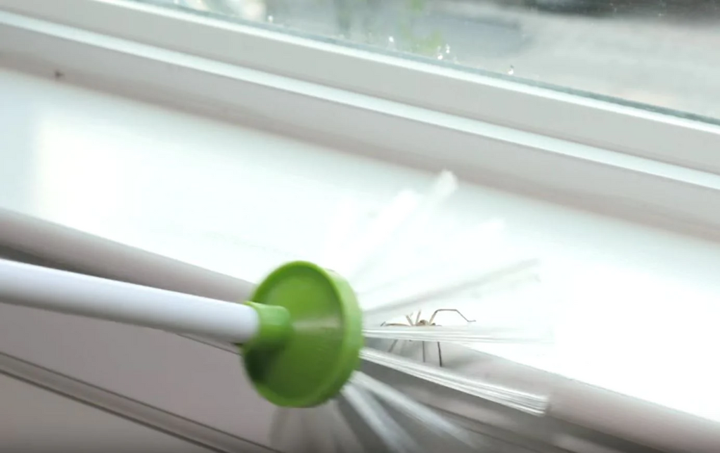 Insect catcher