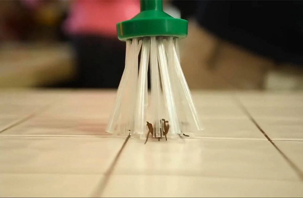 Insect catcher