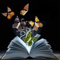 Magic Flying Butterflies