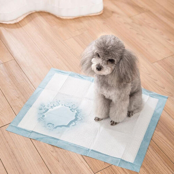 Dog pee