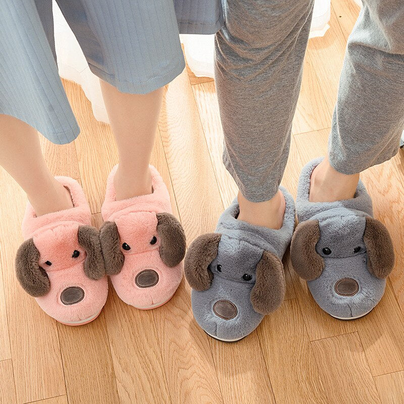 Dog Slippers