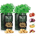 Potato Growing Bag