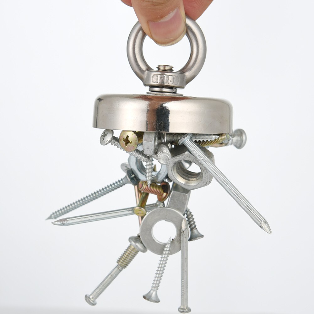 Fish magnet