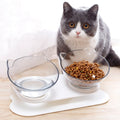 Tilted Cat Food Bowl