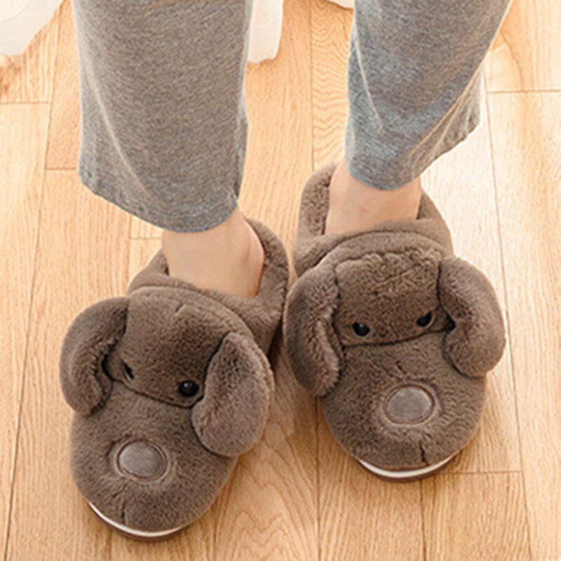 Dog Slippers