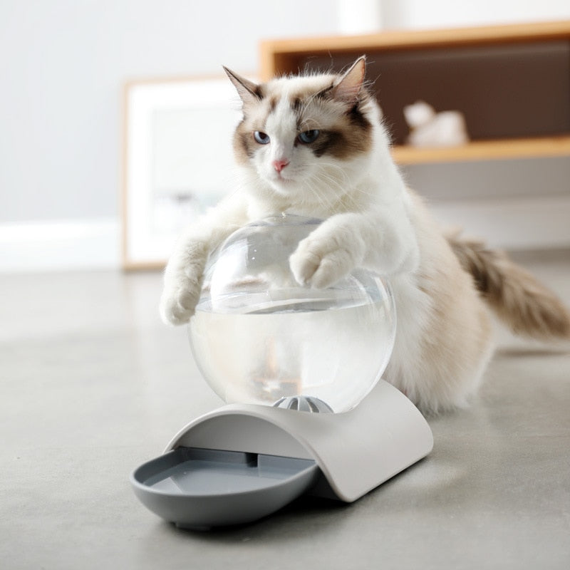 Bubble Automatic Water Distributor For Pets