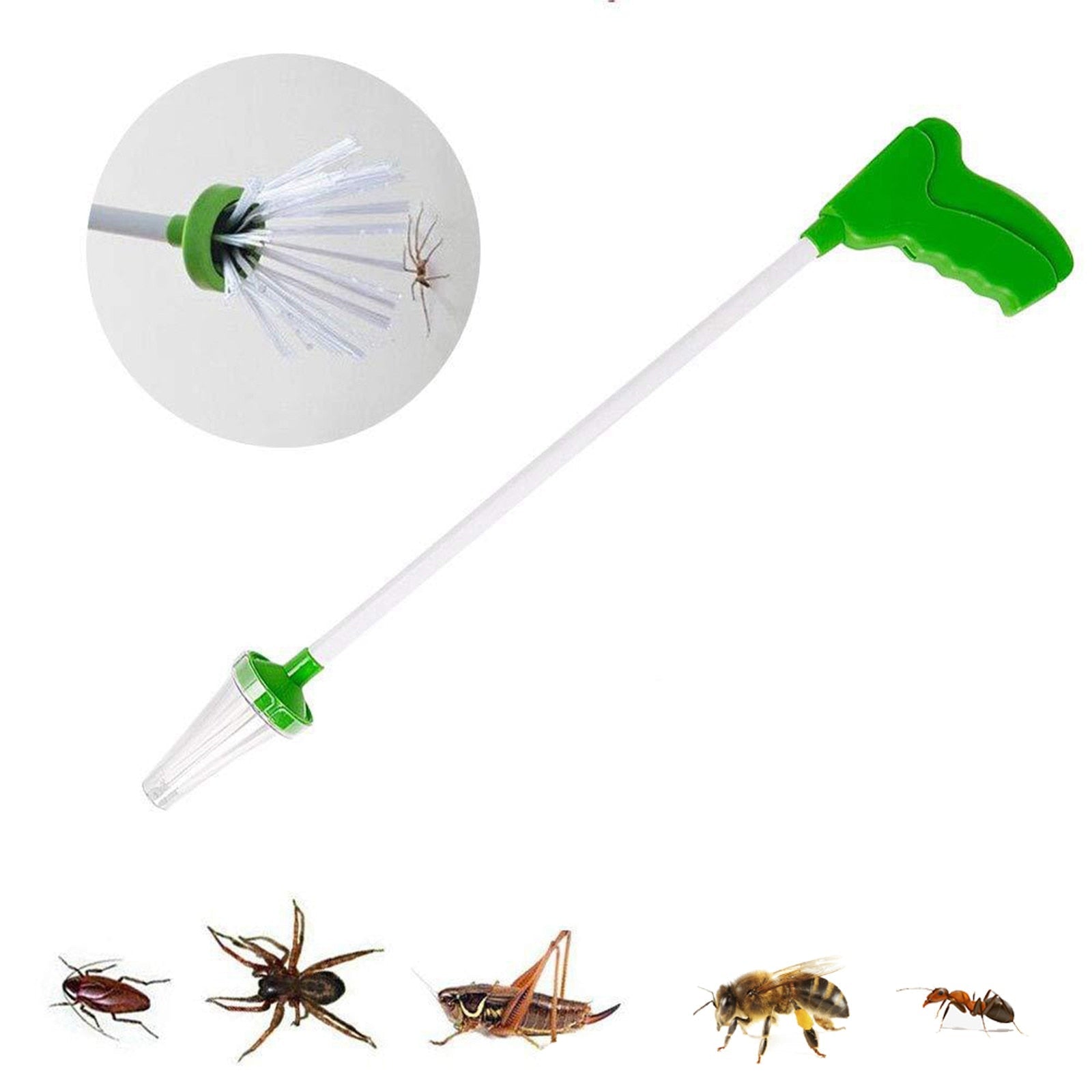 Insect catcher