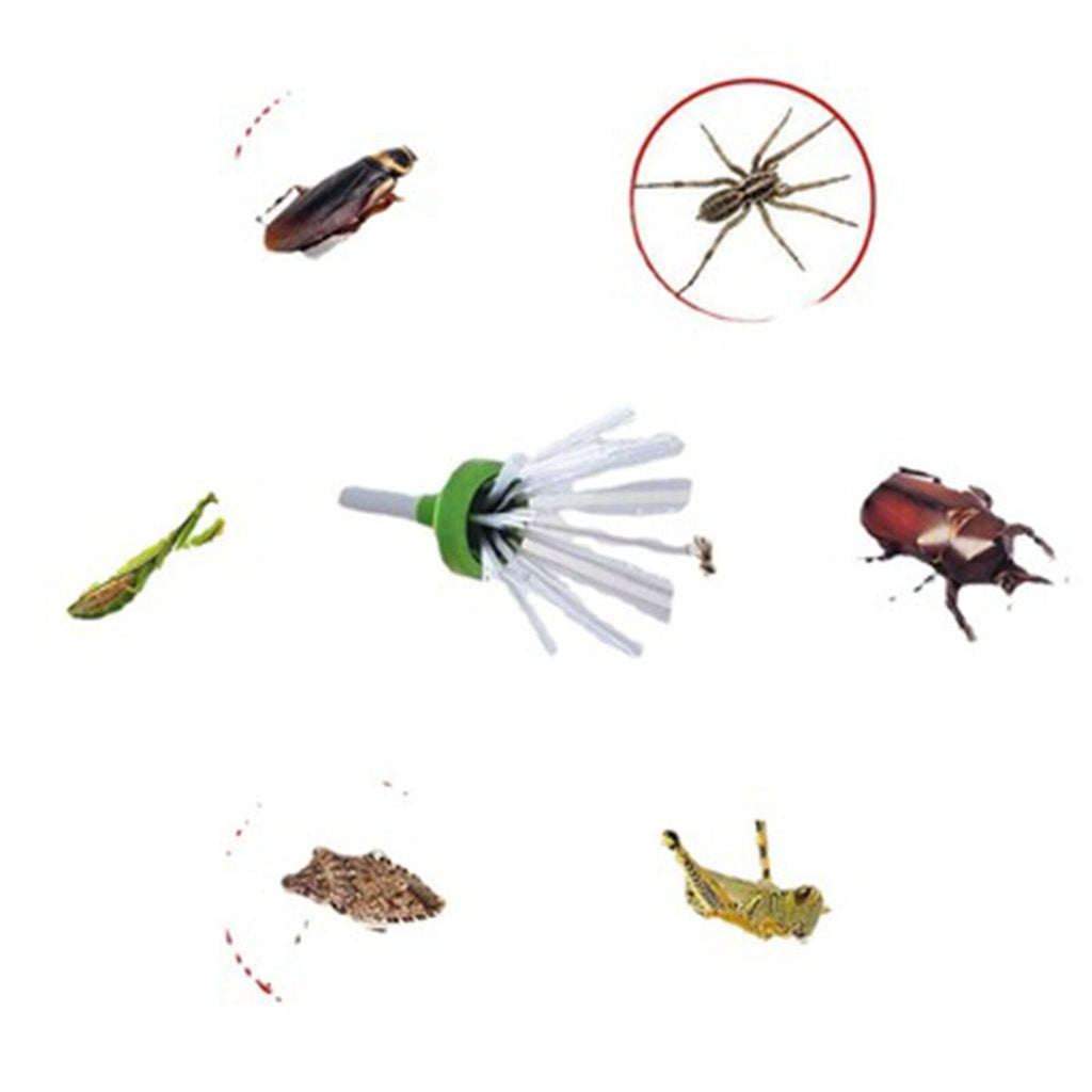 Insect catcher
