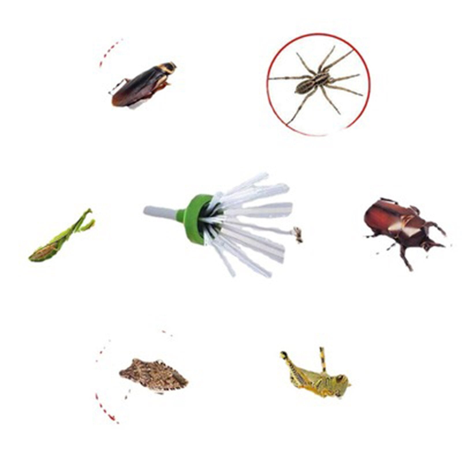 Insect catcher