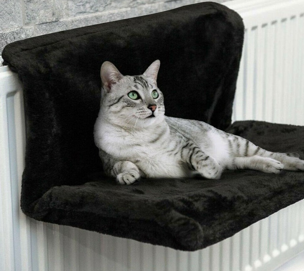 Kattedyrs hengekøye til radiator
