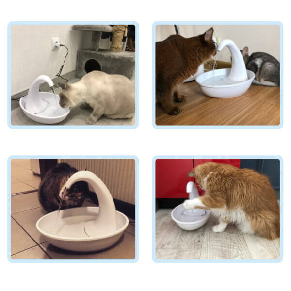 Premium automatic drinking fountain for cats