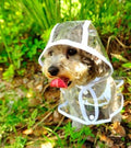 Dog Waterproof Transparent Raincoat
