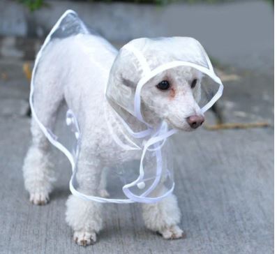 Dog Waterproof Transparent Raincoat