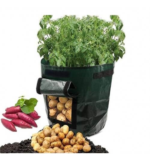 Potato Growing Bag