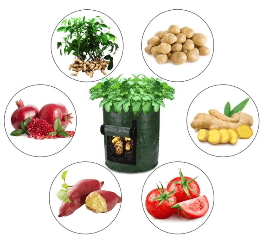 Potato Growing Bag