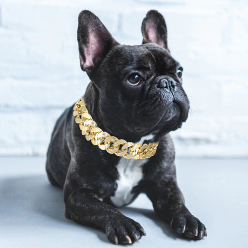 BlingBling Gold Dog Necklace